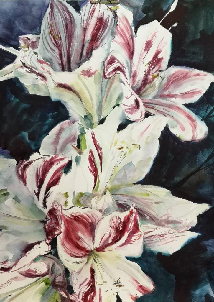 Flamenco flowers, watercolor, 50x30 cm