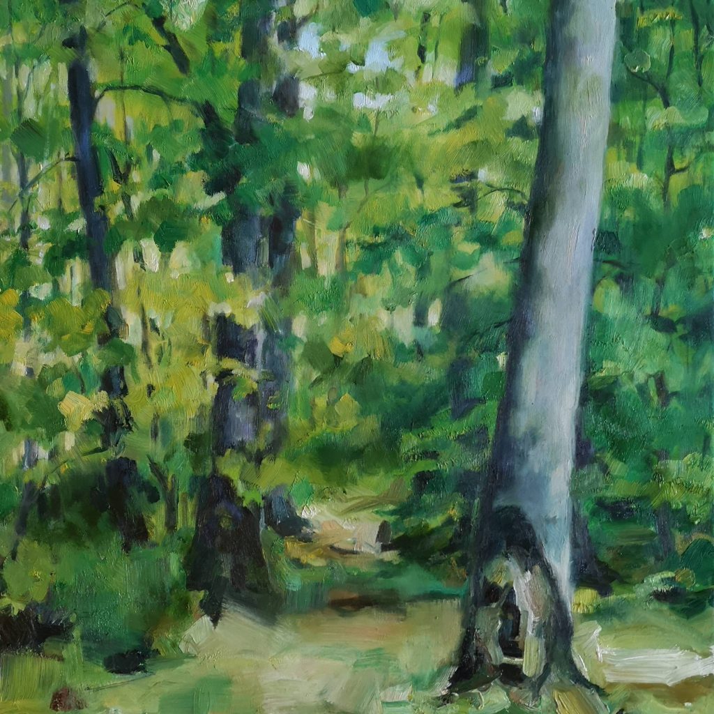 Forêt des Colettes, spring, oilcolor, 60x60 cm