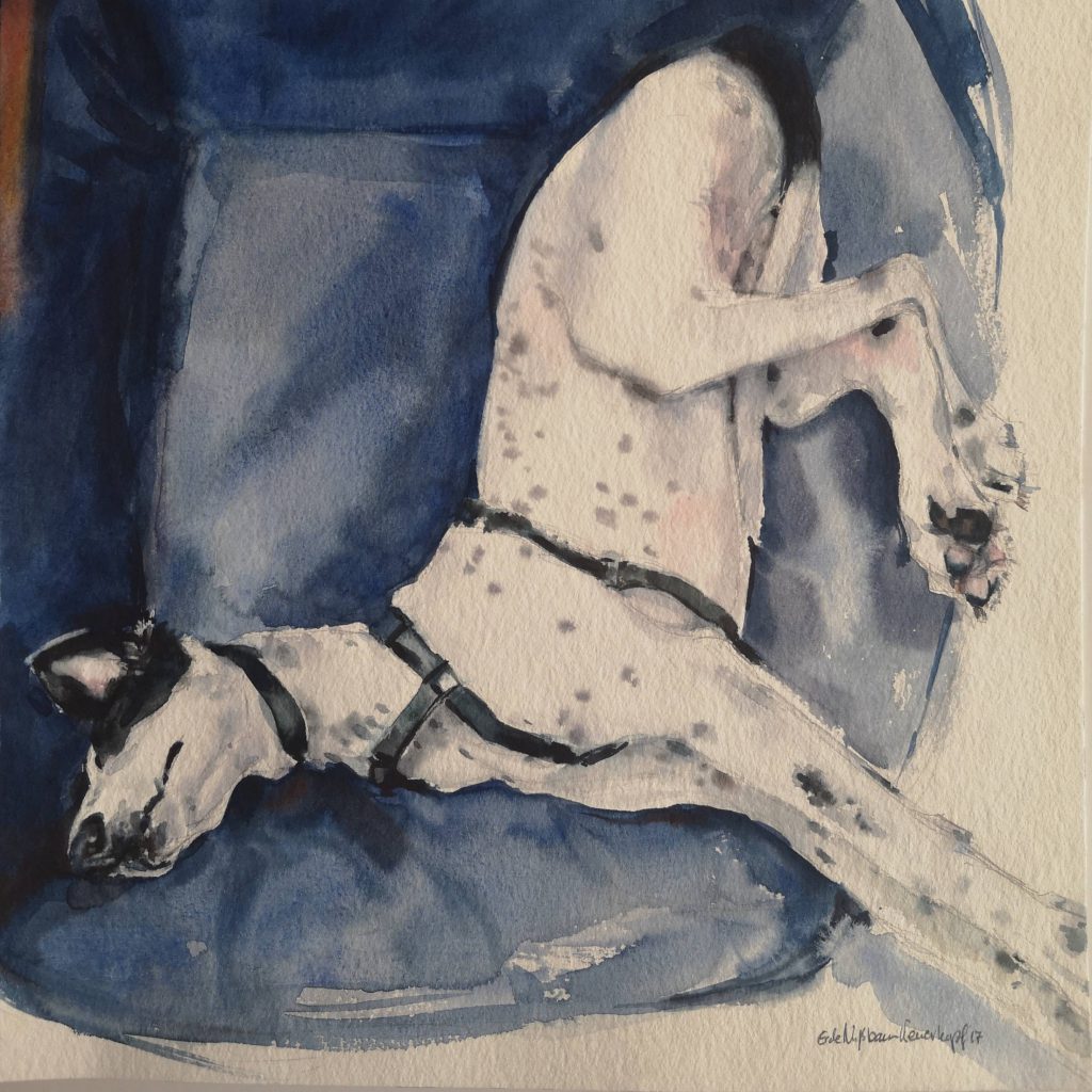 Pepe in his bed, watercolor, 30x30 cm